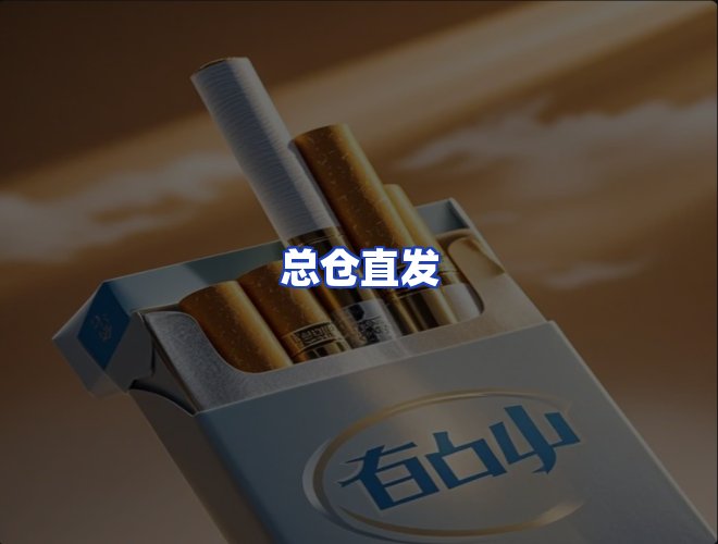 专业团队